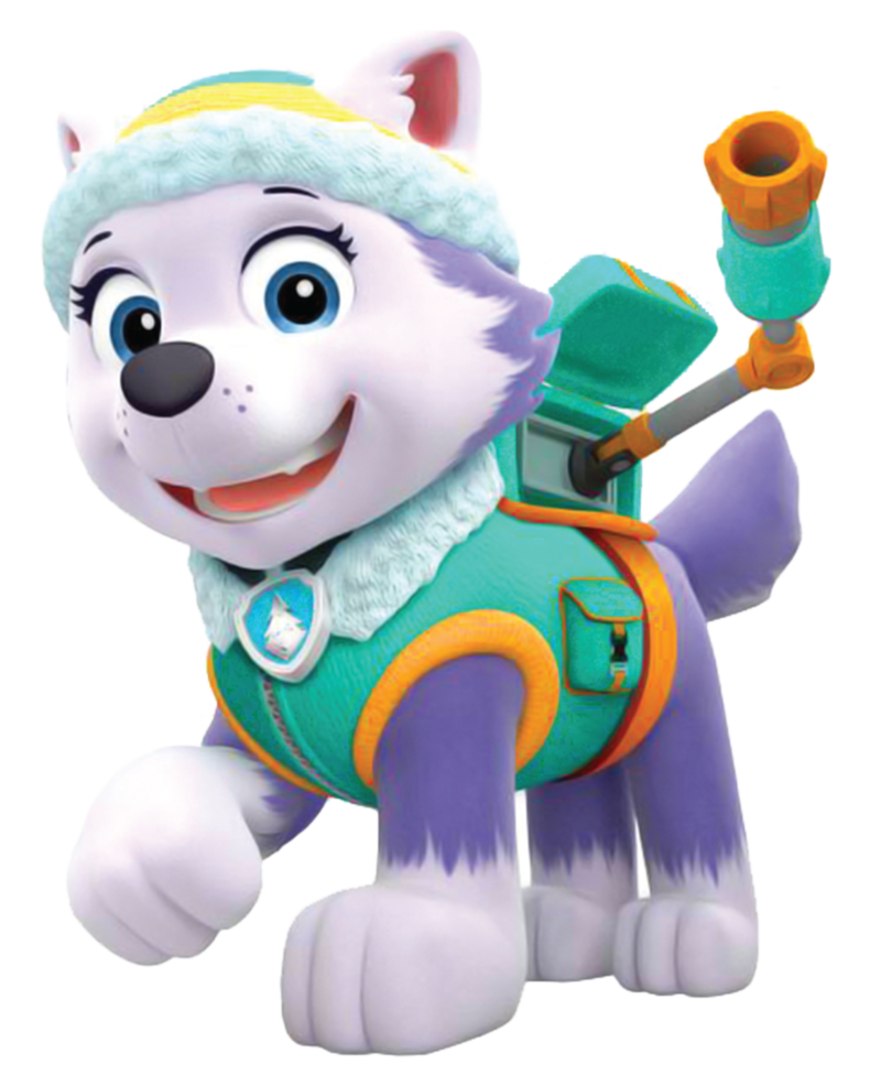 Paw Patrol Childrens Nursery Wall Stickers - Image 8
