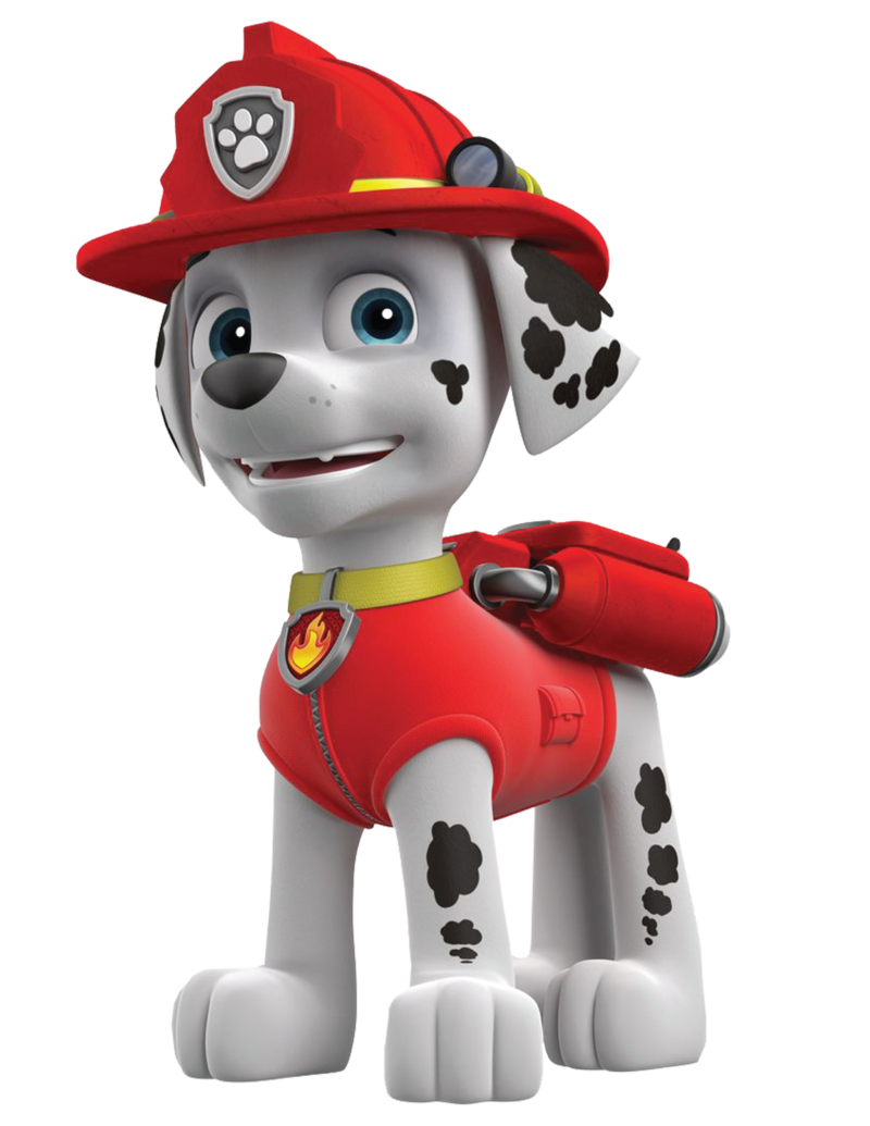 Paw Patrol Childrens Nursery Wall Stickers - Image 5