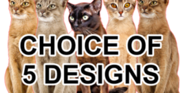 Abyssinian Cat Wall Sticker Decal Self Adhesive Vinyl