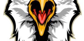 Bald Eagle Bird of Prey Self Adhesive Vinyl Sticker