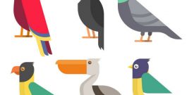 Birds Wall Stickers - 5 sizes available