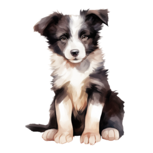 Border Collie Puppy Fur Baby Self Adhesive Sticker