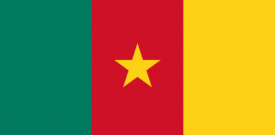 Cameroon Flag Sticker Self Adhesive