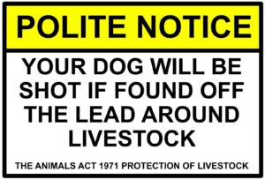 Dog will be shot livestock animal protection Sign Self Adhesive Warning Sticker