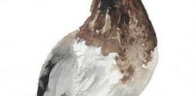 Duck in Wellies Self Adhesive Vinyl Sticker