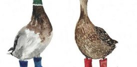 Ducks in Wellies Self Adhesive Vinyl Sticker