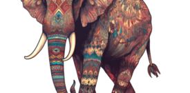 Elephant Floral Colourful Wall Sticker Decal Vinyl Self Adhesive