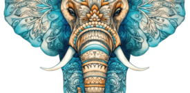 Elephant Floral Colourful Wall Sticker Decal Vinyl Self Adhesive