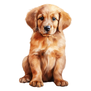 Golden Retriever Puppy Fur Baby Self Adhesive Sticker