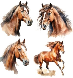 Horses Horse Equestrian Self Adhesive Wall Sticker
