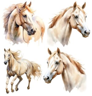 Horses Horse Equestrian Self Adhesive Wall Sticker