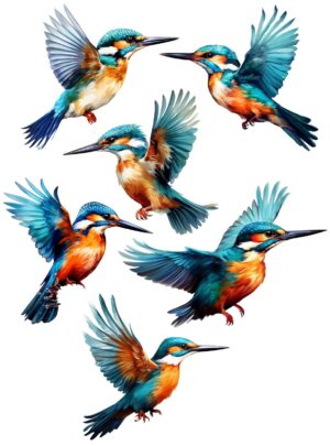 Kingfisher Bird Self Adhesive Wall Sticker
