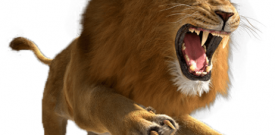 Lion Big Cat Self Adhesive Vinyl Sticker