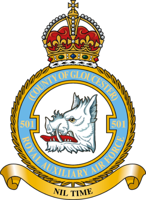 No. 501 Squadron RAF badge patch Self Adhesive Vinyl Sticker