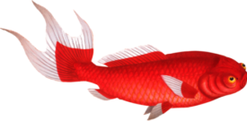 Oriental Fish Self Adhesive Vinyl Sticker