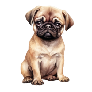 Pug Puppy Fur Baby Self Adhesive Sticker