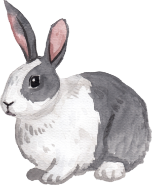 Rabbit Bunny Animal Self Adhesive Sticker