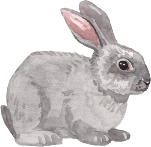 Rabbit Bunny Animal Self Adhesive Sticker