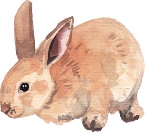 Rabbit Bunny Animal Self Adhesive Sticker