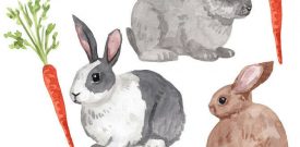 Rabbit Bunny Cute Animal Watercolour Wall Stickers