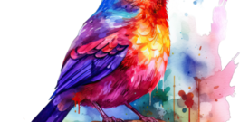 Rainbow Robin Bird Sticker Self Adhesive Vinyl