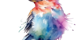 Rainbow Robin Bird Sticker Self Adhesive Vinyl
