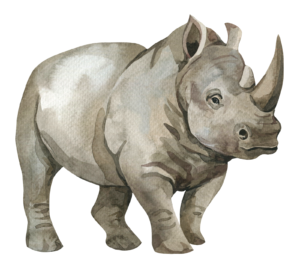 Rhino Safari Animal Self Adhesive Sticker
