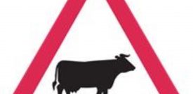Road Traffic Warning Sign Self Adhesive Sticker