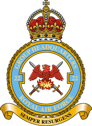Royal Air Force RAF No 22 Group badge patch Self Adhesive Vinyl Sticker