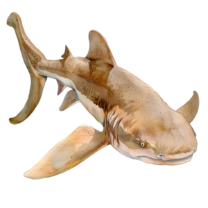 Shark Self Adhesive Sticker