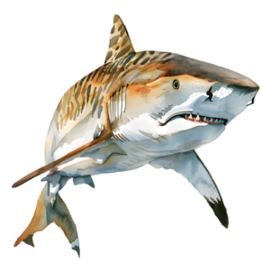 Shark Self Adhesive Sticker