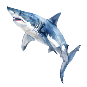 Shark Self Adhesive Sticker