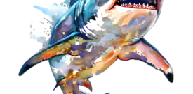 Shark Self Adhesive Sticker