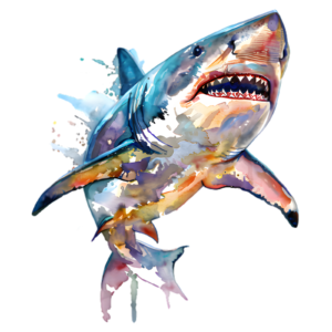Shark Self Adhesive Sticker