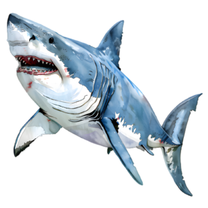 Shark Self Adhesive Sticker