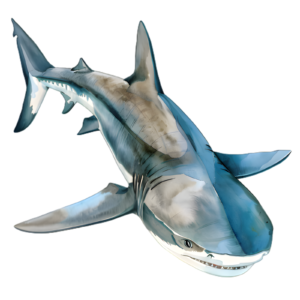 Shark Self Adhesive Sticker