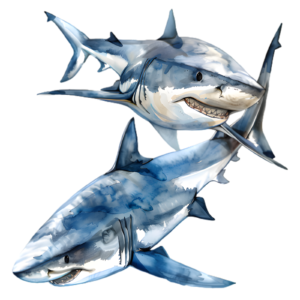 Shark Self Adhesive Sticker