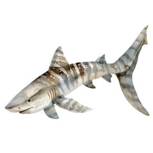 Shark Self Adhesive Sticker
