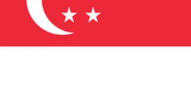 Singapore Flag Sticker Self Adhesive Vinyl