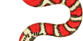 Snake Self Adhesive Vinyl Sticker