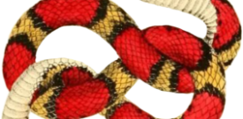 Snake Self Adhesive Vinyl Sticker