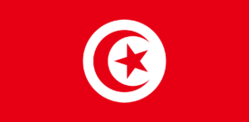 Tunisia Flag Self Adhesive Sticker
