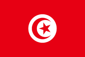 Tunisia Flag Self Adhesive Sticker