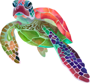 Turtles Colourful Sealife Self Adhesive Sticker