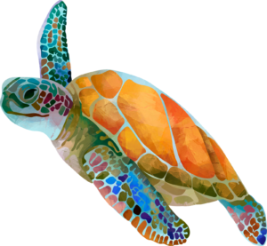 Turtles Colourful Sealife Self Adhesive Sticker