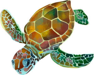 Turtles Colourful Sealife Self Adhesive Sticker