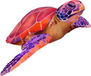 Turtles Colourful Sealife Self Adhesive Sticker