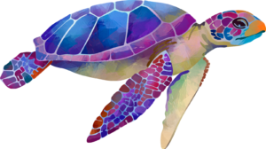 Turtles Colourful Sealife Self Adhesive Sticker