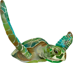 Turtles Colourful Sealife Self Adhesive Sticker