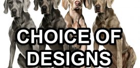 Weimaraner Dog Wall Sticker Decal Self Adhesive Vinyl